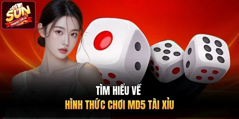 Tìm hiểu về hình thức chơi MD5 tài xỉu 